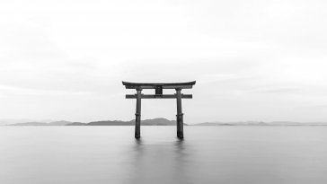 torii live wallpaper