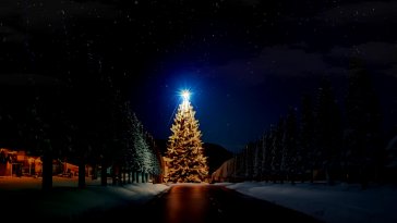 shining christmas tree live wallpaper