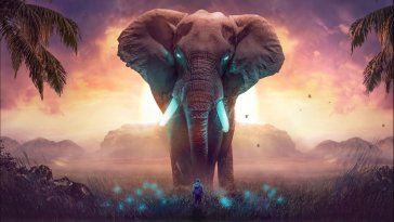 fantasy elephant live wallpaper