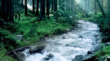 river flowing live wallpaper