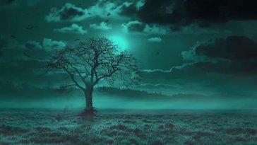 mystery green landscape live wallpaper