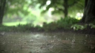 raining live wallpaper