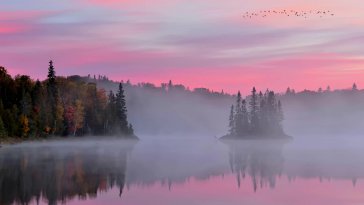 foggy lake live wallpaper