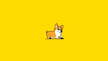 cool corgi live wallpaper